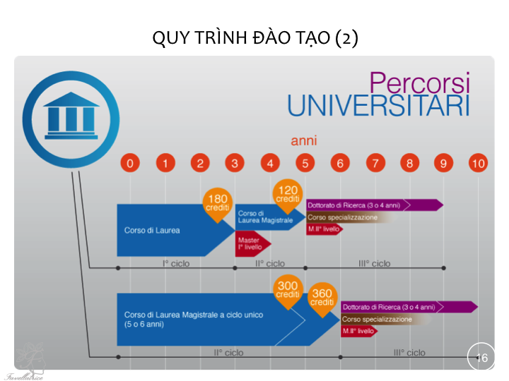 Quy trình đào tạo du học Ý