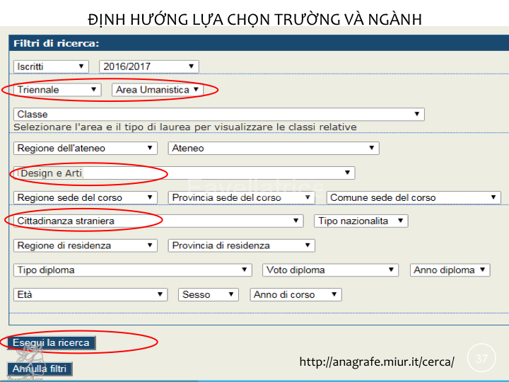Cách chọn trường