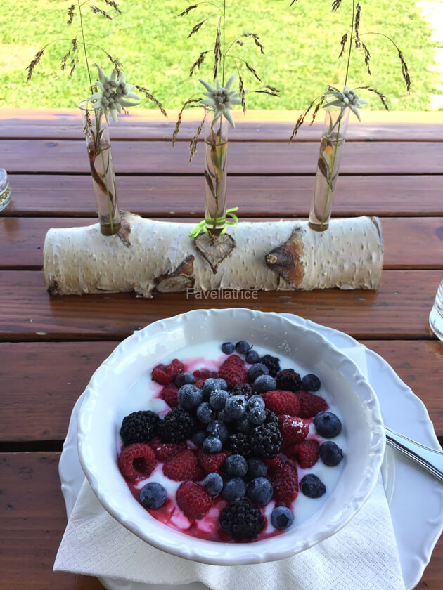 Yogurt Seceda Dolomiti